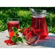 Компот из красной смородины 0,5 л Компот из красной смородины 0,5 л