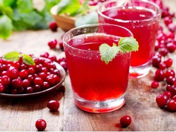 Морс клюквенный домашний 0,5 л