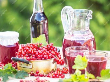 Морс ягодный домашний 0,5 л Морс ягодный домашний 0,5 л