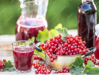 Морс ягодный домашний 0,5 л